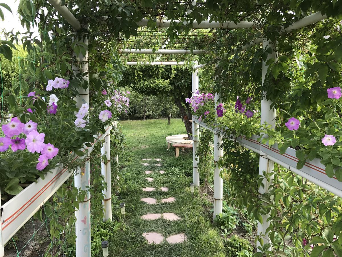 Ashot & Gohar B&B Chʼiva Eksteriør billede